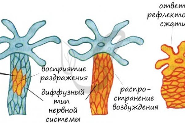 Кракен площадка vk2 top